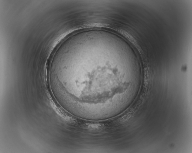 X0000115781031200911271159