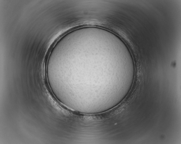 X0000115781032200911271200