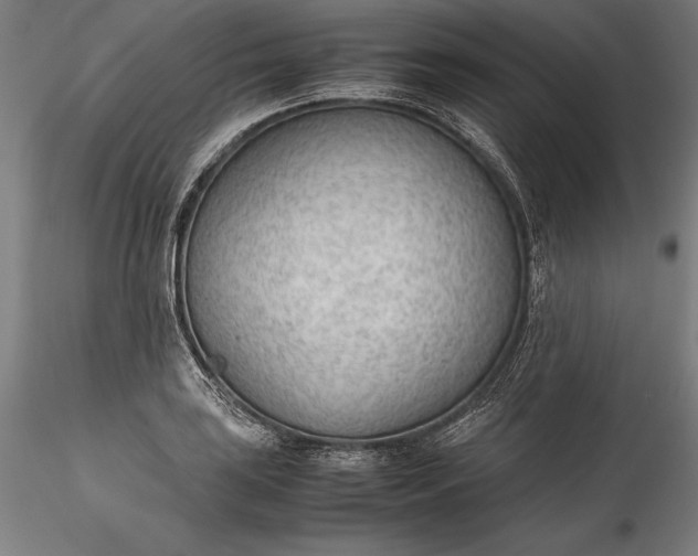 X0000115781035200911271200