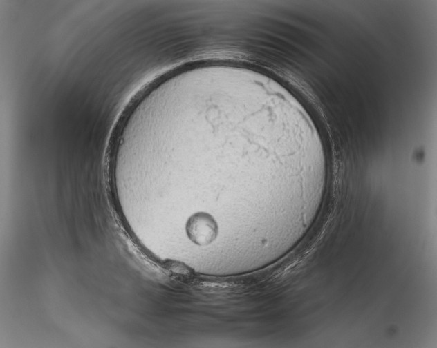 X0000115781037200911271200