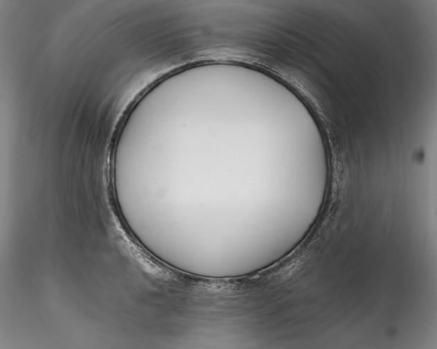 X0000115781040200911271200