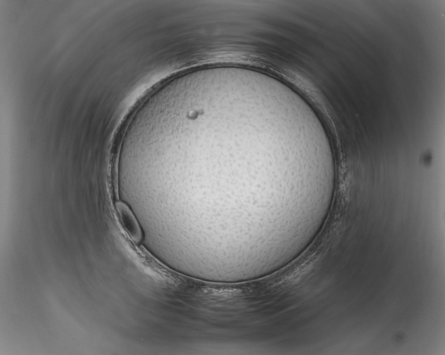 X0000115781043200911271200