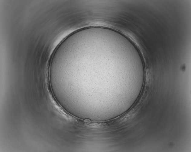 X0000115781048200911271200