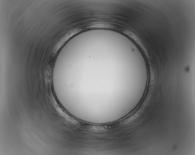 X0000115781049200911271200