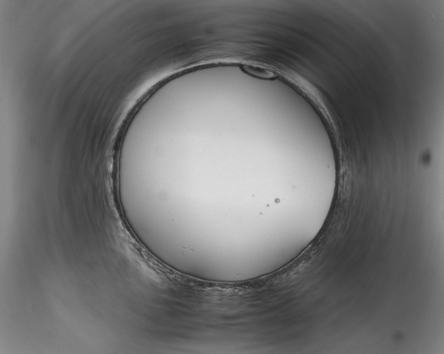 X0000115781051200911271200