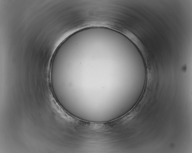 X0000115781052200911271200