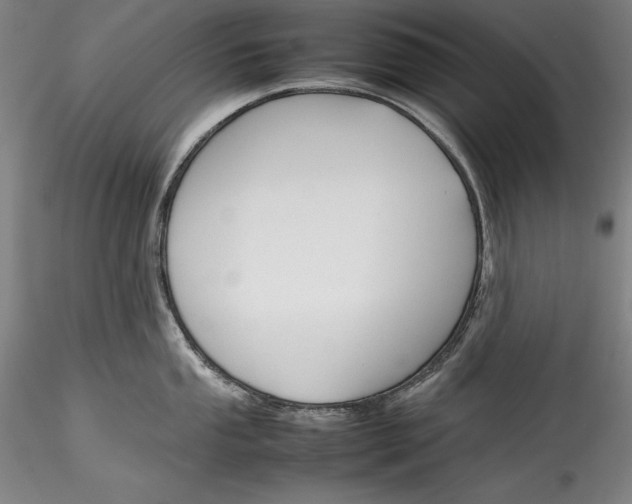 X0000115781053200911271200