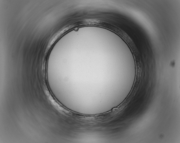 X0000115781054200911271200