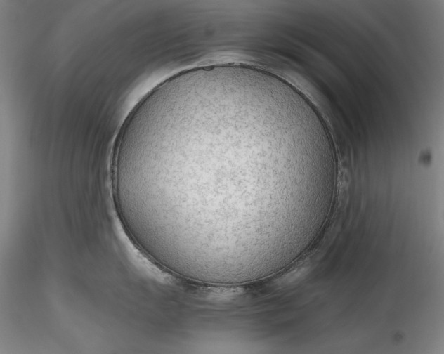 X0000115781055200911271200