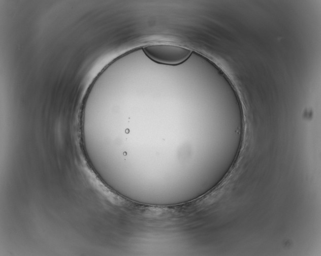 X0000115781056200911271200