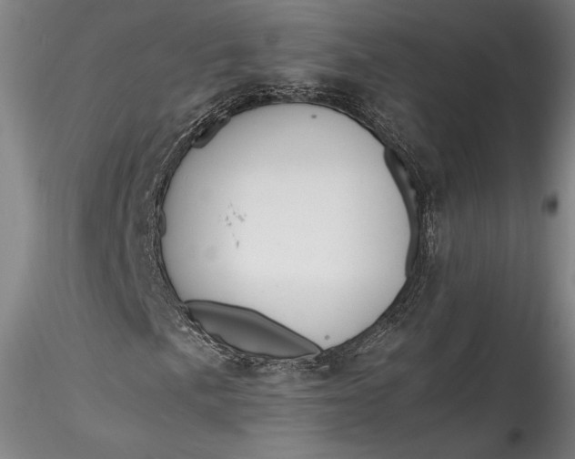 X0000115781057200911271159