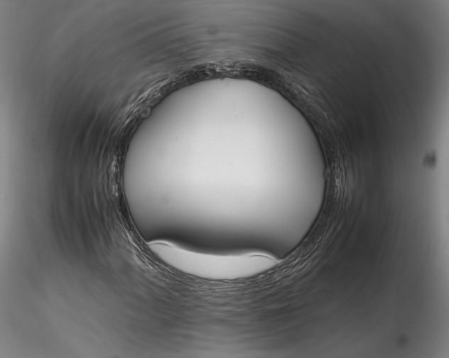 X0000115781060200911271159