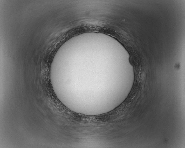 X0000115781061200911271159