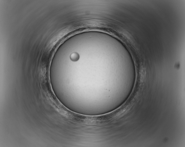 X0000115781065200911271159