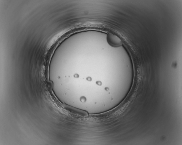 X0000115781066200911271159