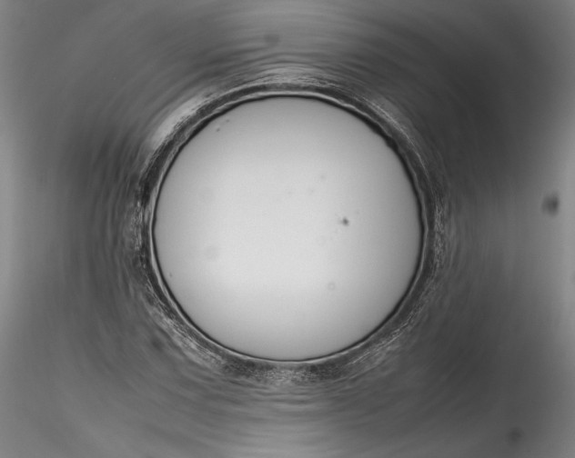 X0000115781067200911271159