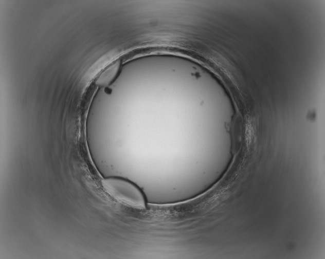 X0000115781069200911271159