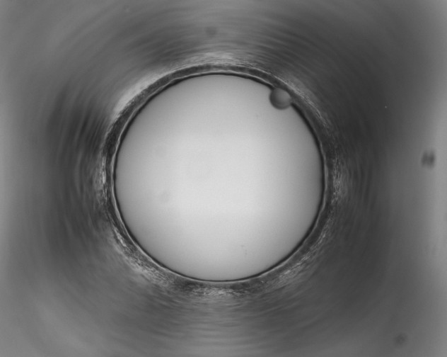 X0000115781070200911271159