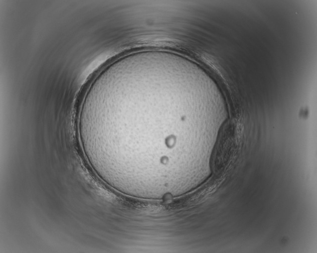 X0000115781071200911271159