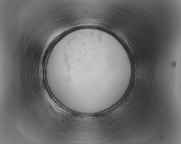 X0000115781072200911271159