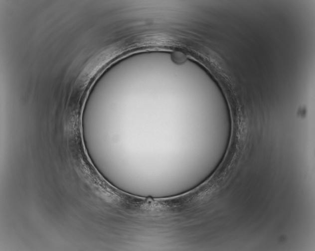 X0000115781073200911271159