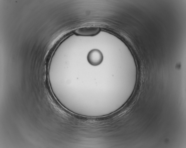 X0000115781075200911271159