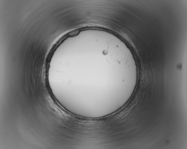 X0000115781076200911271159