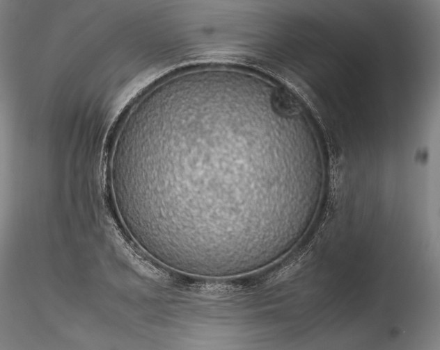 X0000115781077200911271159