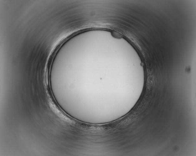 X0000115781080200911271159