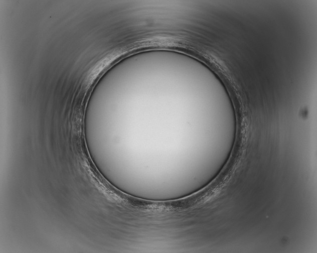 X0000115781081200911271159