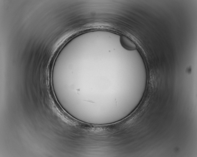 X0000115781082200911271159