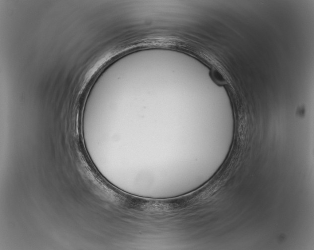 X0000115781083200911271159