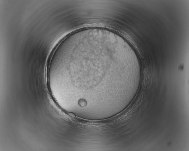 X0000115781084200911271159