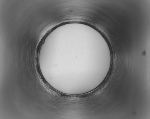 X0000115781085200911271159