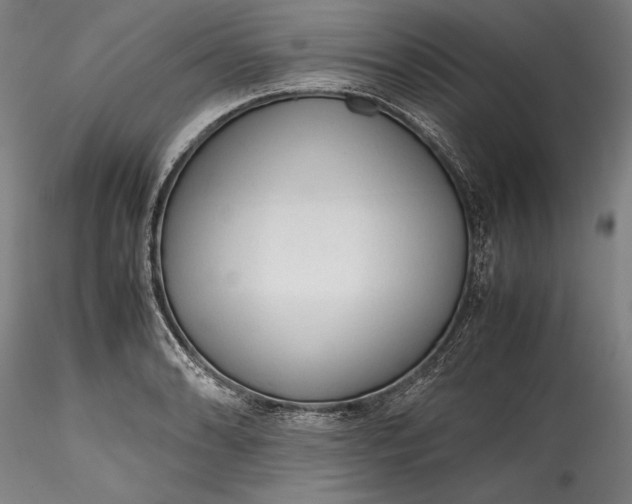 X0000115781086200911271159