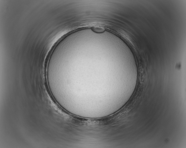 X0000115781087200911271159