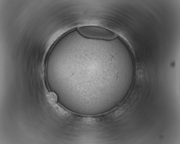 X0000115781088200911271159