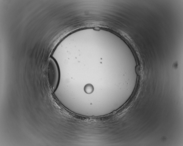 X0000115781089200911271159