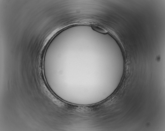 X0000115781091200911271159