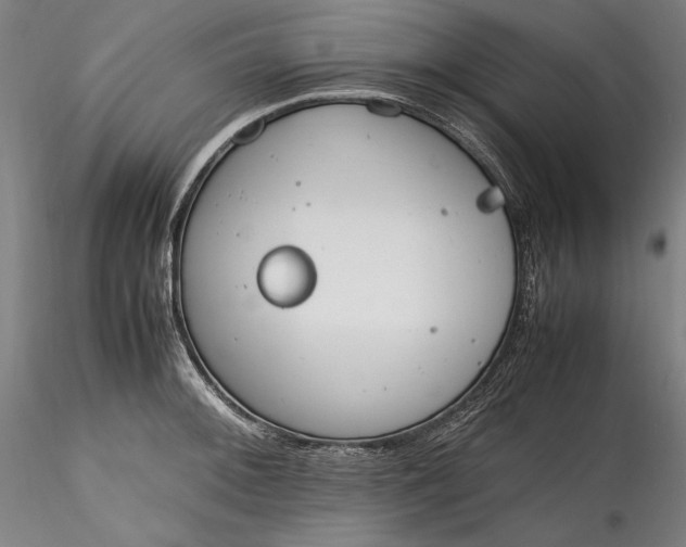 X0000115781092200911271159