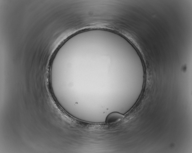 X0000115781093200911271159