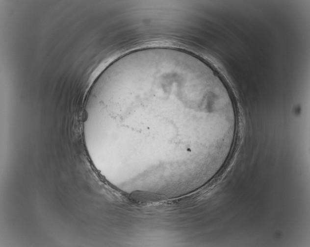 X0000115781097200911271159