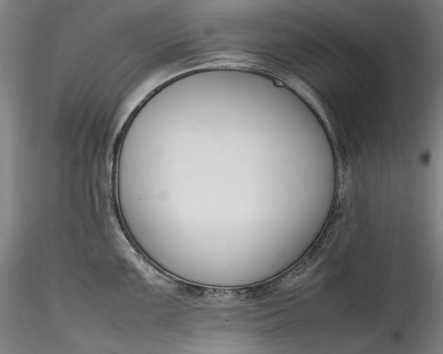 X0000115781099200911271159