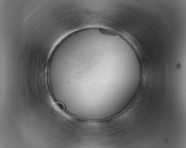 X0000115781100200911271159