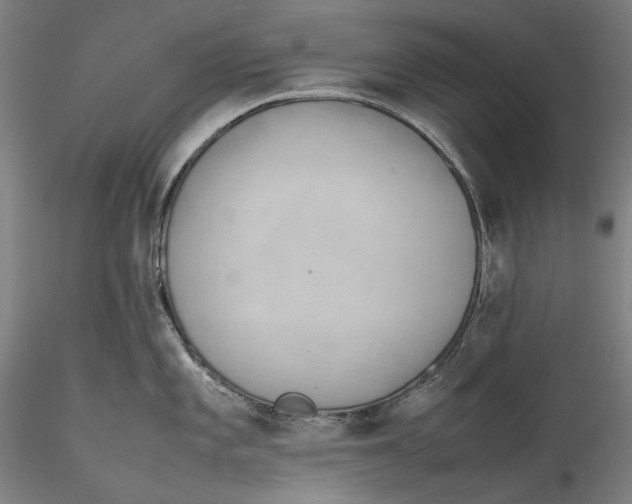 X0000115781101200911271159