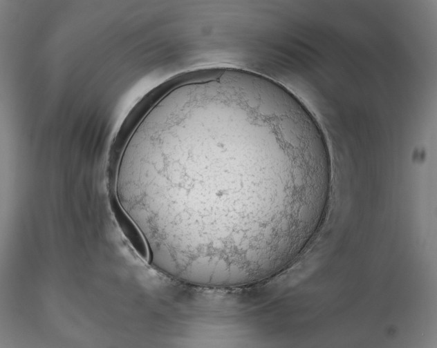 X0000115781104200911271159