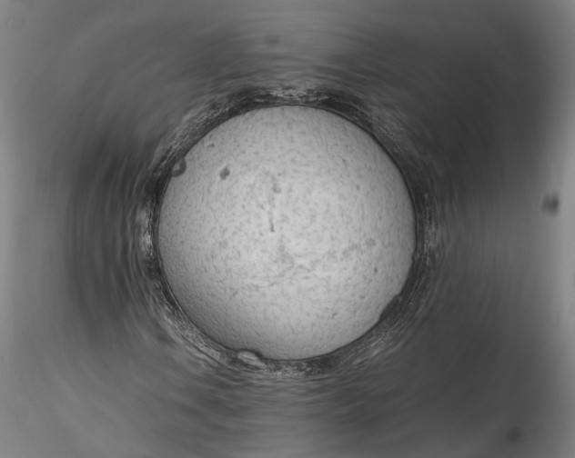 X0000115781106200911271158