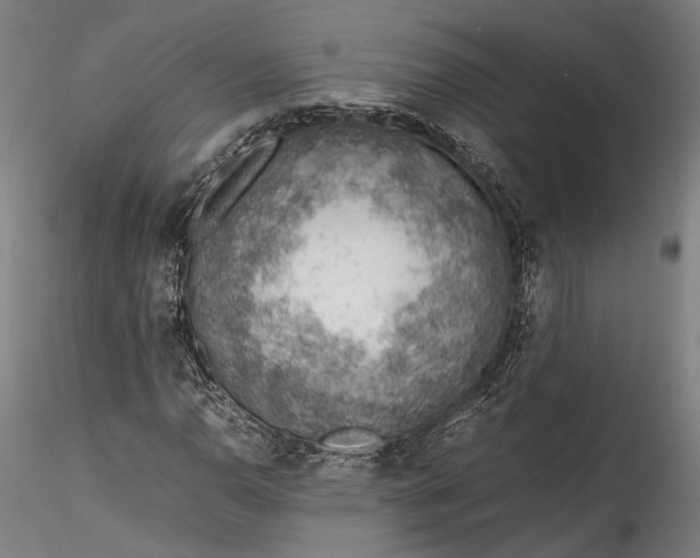 X0000115781110200911271158