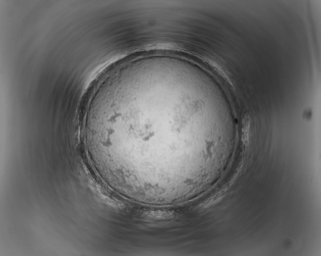 X0000115781117200911271158