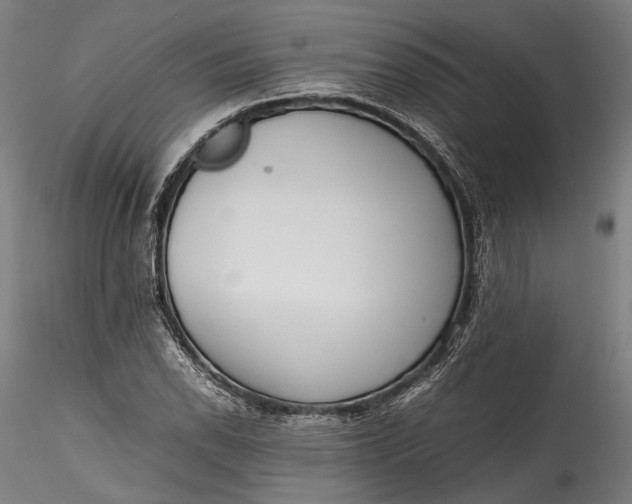 X0000115781118200911271158